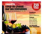 L’art du Vin et de la transmission : Arnaud Chambost